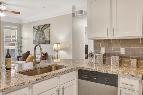 A kitchen with a sink, dishwasher, and a counter with a bottle on it.