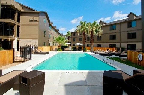 A large swimming pool surrounded by lounge chairs and palm trees.