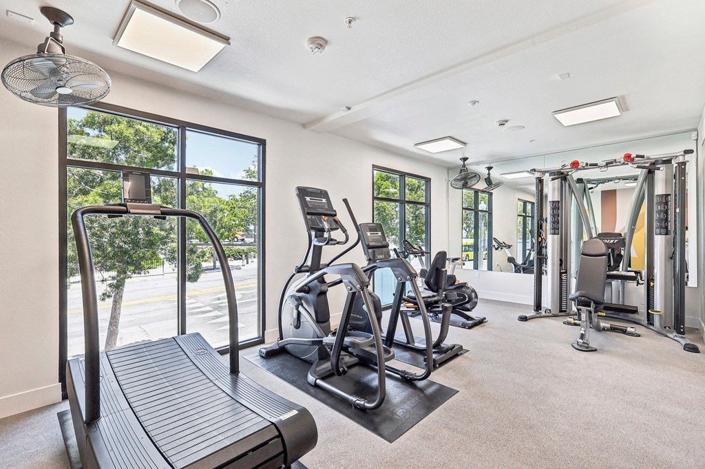 A gym with treadmills, weights, and exercise equipment.