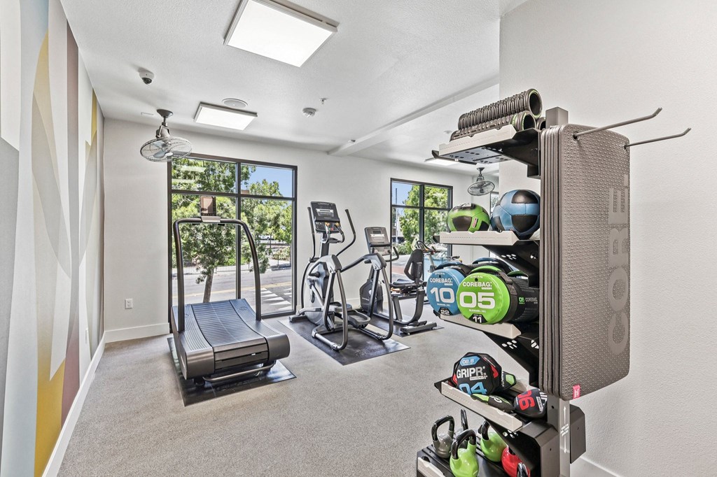 A well equipped gym with a treadmill, exercise bike, and weights.