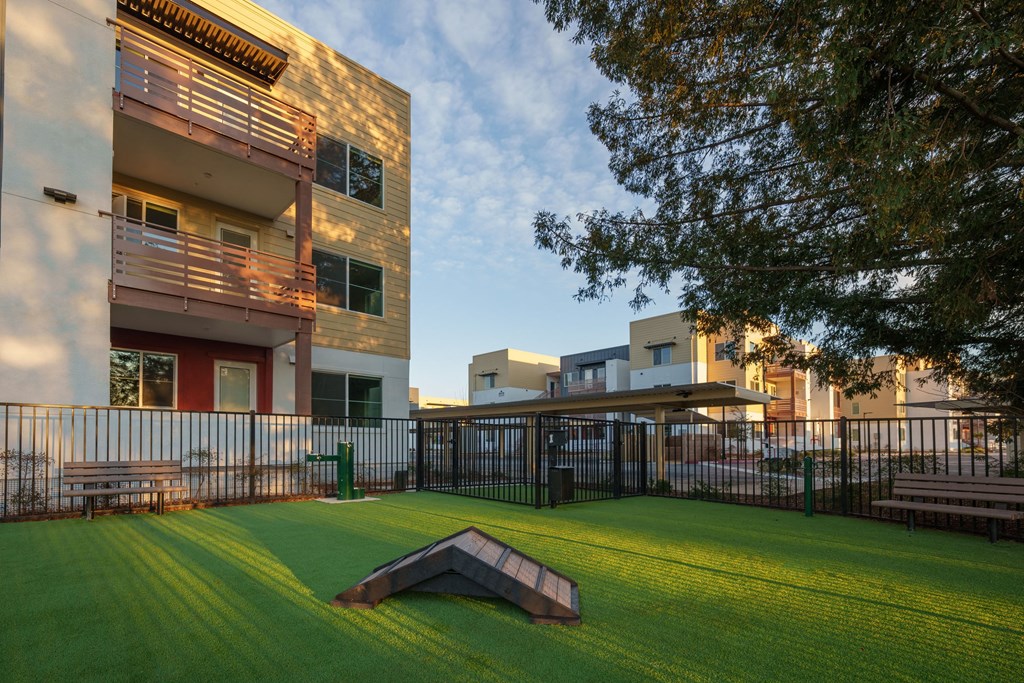 Aurora Apartments pet area