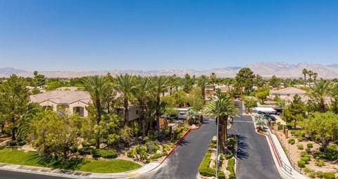 A residential street with houses and palm trees.