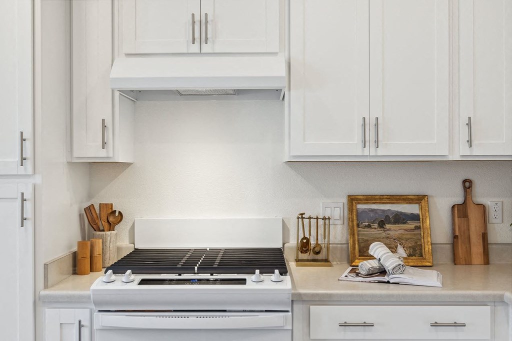 a white gas range stove