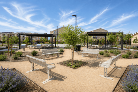 A park with benches and a tree in the middle.
