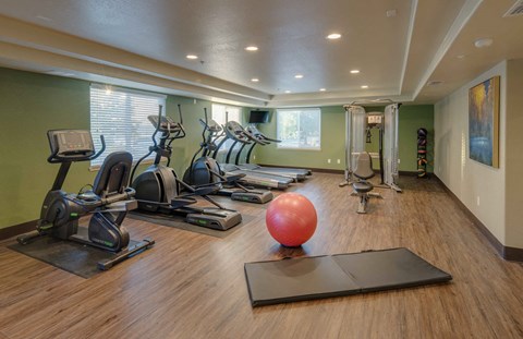 A gym with a variety of exercise equipment including treadmills, stationary bikes, and weights.