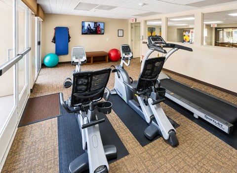 A gym with treadmills and exercise balls.