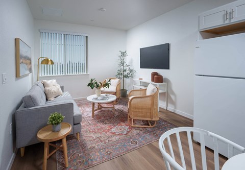 A living room with a grey couch, a wooden coffee table, a white chair, a small Christmas tree, and a flat screen TV mounted on the wall.