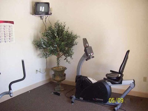 a home gym with a plant and a tv in the corner