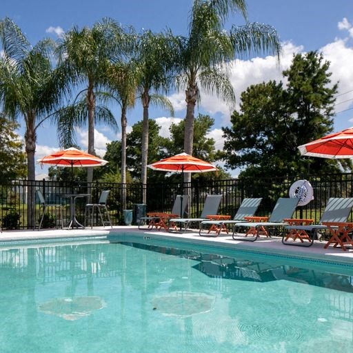 a swimming pool with chairs and umbrellas