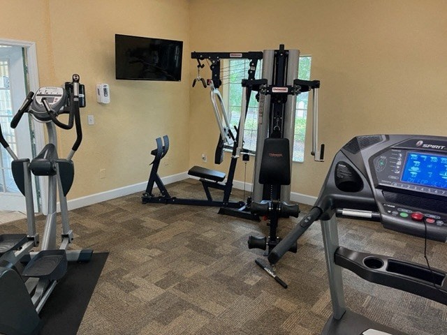 a gym with cardio equipment and a tv in a home gym