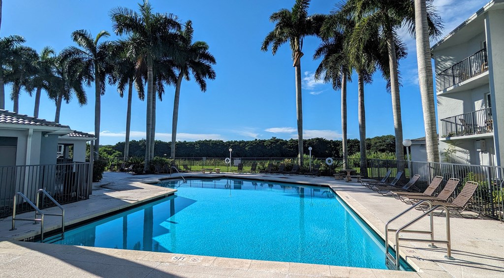 a swimming pool with palm trees in front of a building