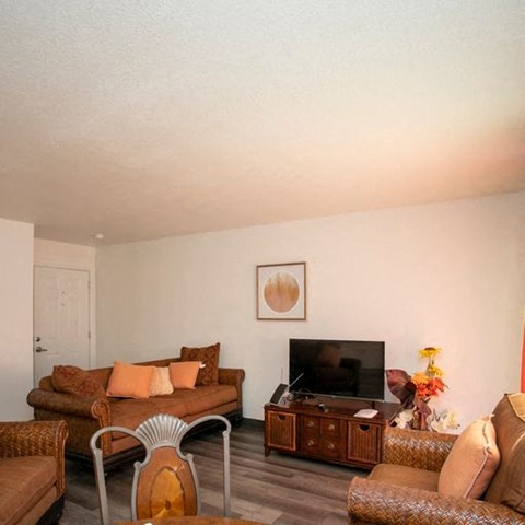 a living room with a couch and a television