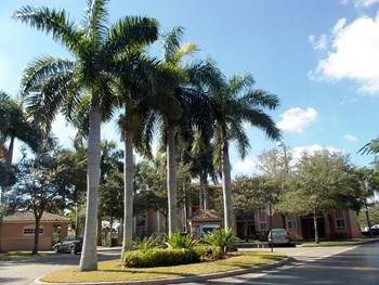 10000 SW 224th Street 1-3 Beds Apartment, Affordable for Rent - Photo Gallery 2