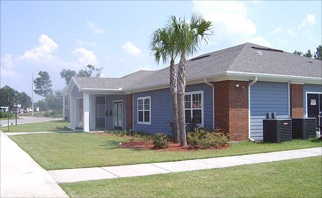 a blue house with a palm tree in front of it
