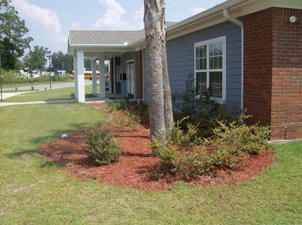 a house with a tree in the front of it