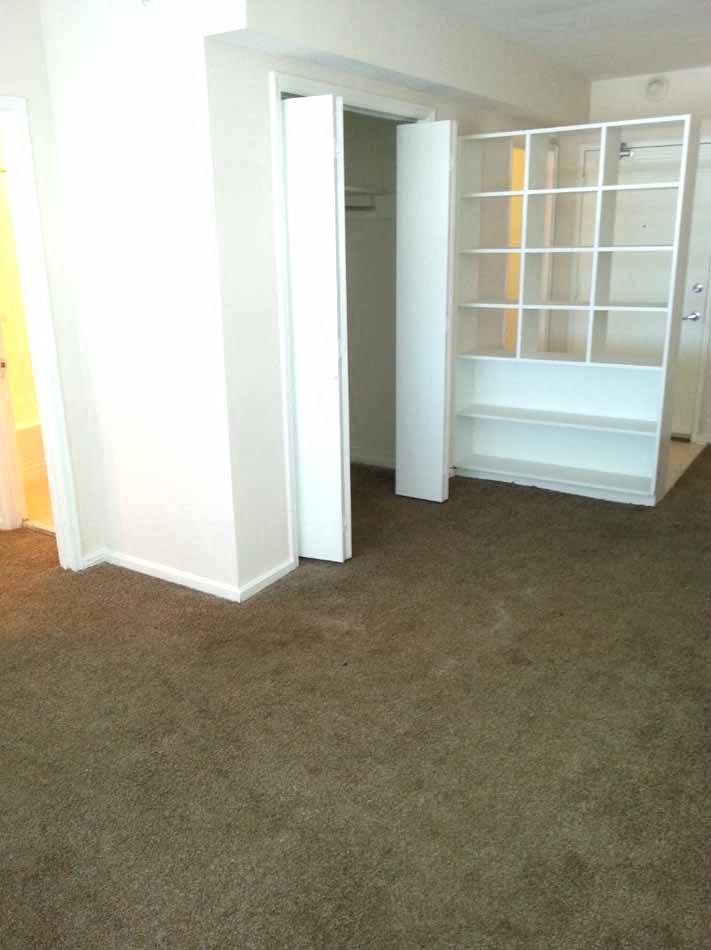 a room with a carpet and a closet