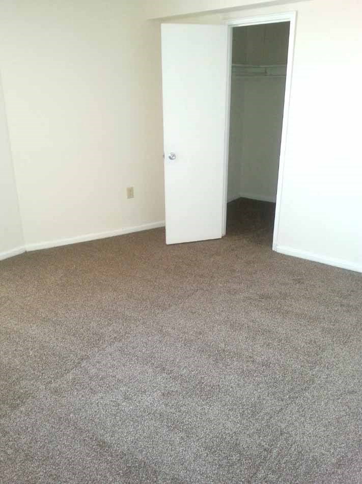a carpeted room with a door to a closet