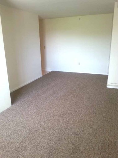 1002 Greene Street 1 Bed Apartment for Rent
