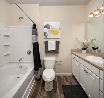 Modern Bathroom Fittings at Abberly Green Apartment Homes, North Carolina, 28117 - Photo Gallery 11