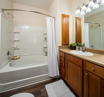 Bathroom With Vanity Lights at Abberly Green Apartment Homes, North Carolina, 28117 - Photo Gallery 18