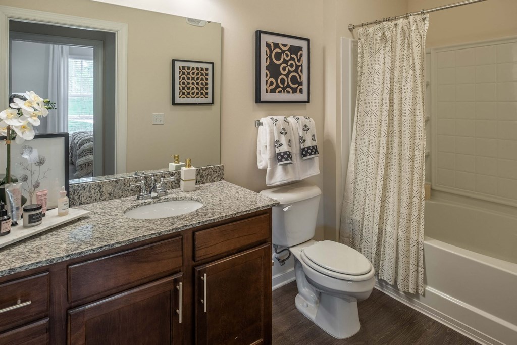 Luxurious Bathrooms at Abberly CenterPointe Apartment Homes by HHHunt, Midlothian, Virginia