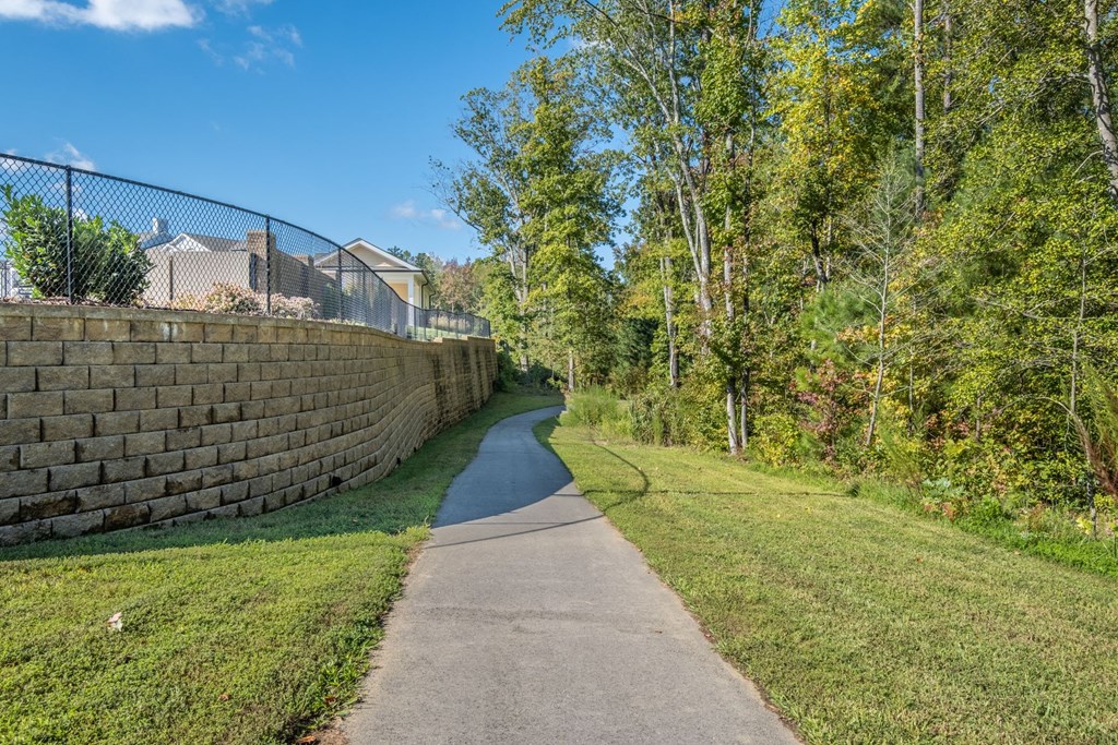 Road at Abberly CenterPointe Apartment Homes, Midlothian, VA, 23114