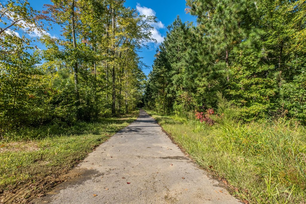 Apartments in Midlothian, VA with Dog Park at Abberly CenterPointe Apartment Homes, Virginia