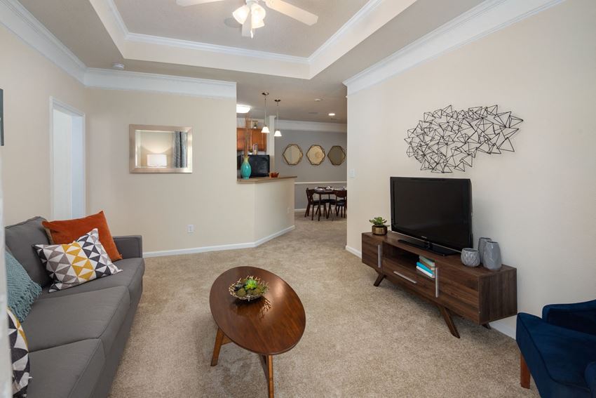Living Room With Television at Abberly Chase Apartment Homes by HHHunt, South Carolina - Photo Gallery 1