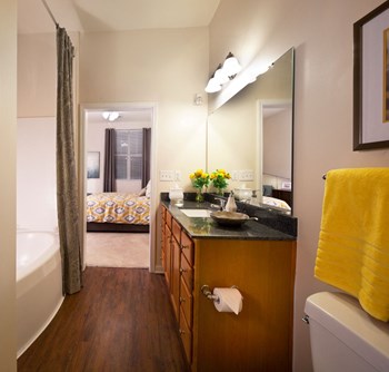 Custom Look Bathroom Custom Look Bathroom at Abberly Crest Apartment Homes, HHHunt, Lexington Park, Maryland - Photo Gallery 4