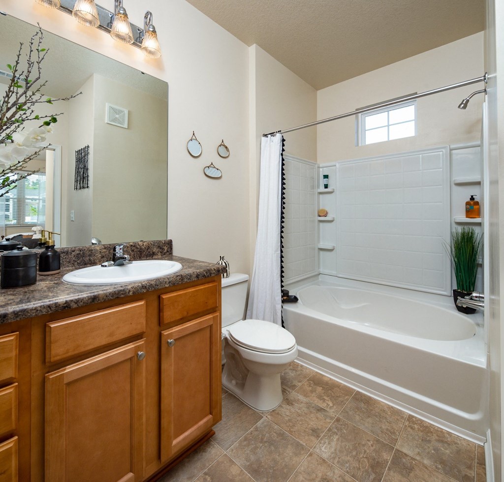 Bathroom at Abberly Crossing Apartment Homes, South Carolina