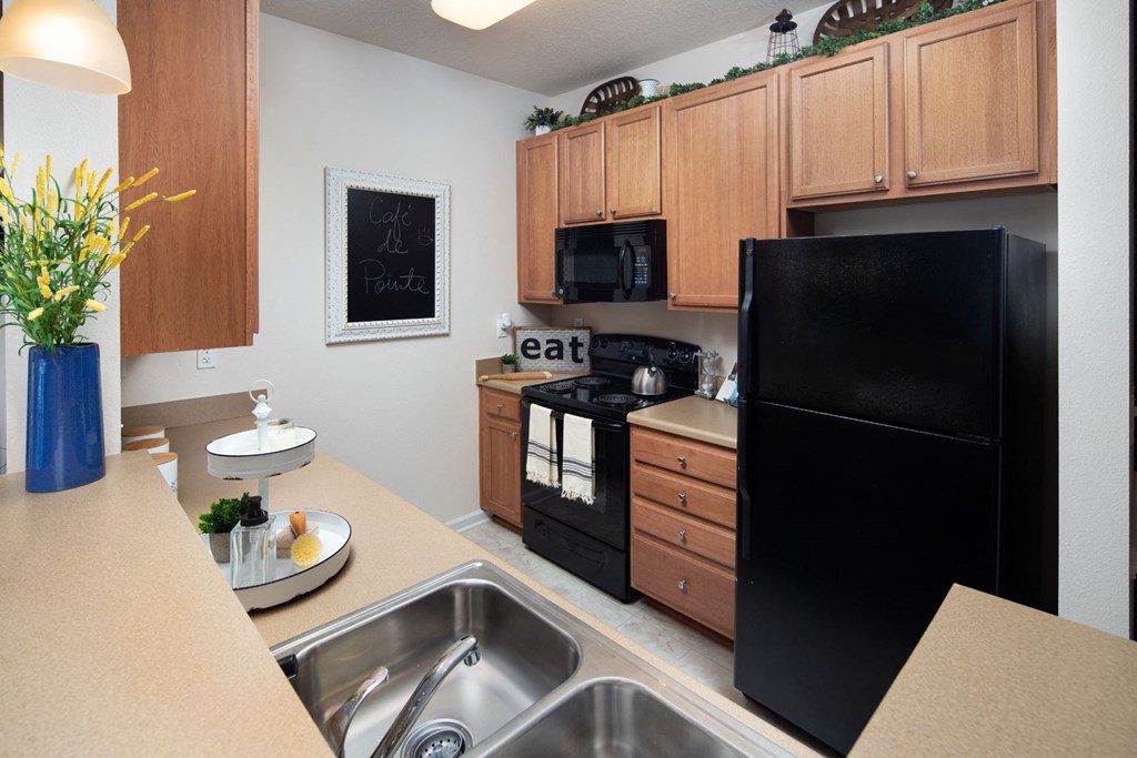 Black Appliances at Abberly Pointe Apartment Homes, Beaufort