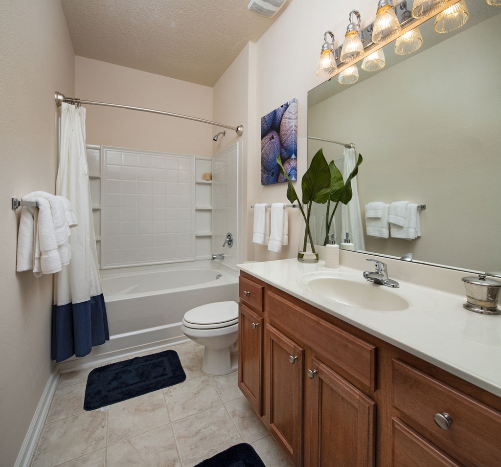 Bathroom Accessories at Abberly Pointe Apartment Homes, South Carolina, 29935
