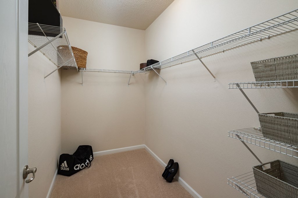 Spacious Oversized and Walk-In Closets at Abberly Pointe Apartment Homes, Beaufort, SC, 29935