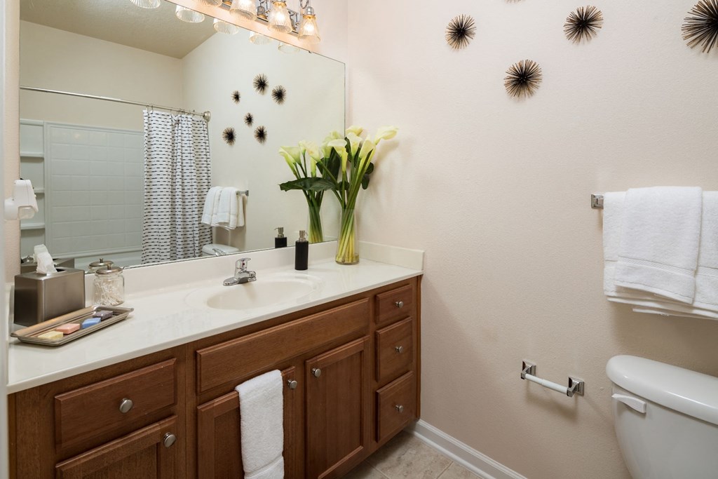 Large Vanity Storage at Abberly Pointe Apartment Homes, Beaufort, 29935