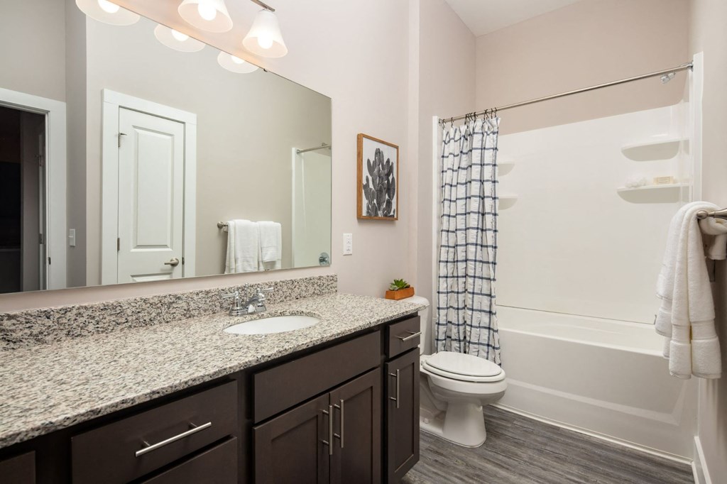 Bathroom With Bathtub at Abberly Solaire Apartment Homes, Garner, NC