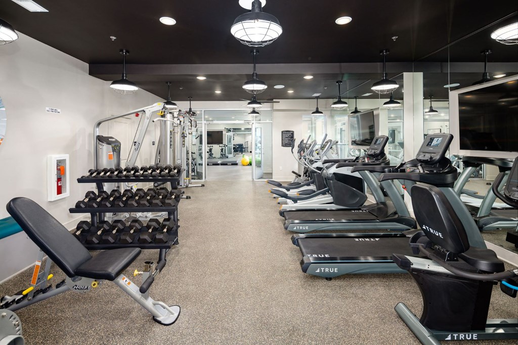 Stylized Fitness Studio with Fitness on Demand at Abberly Solaire Apartment Homes, Garner, North Carolina
