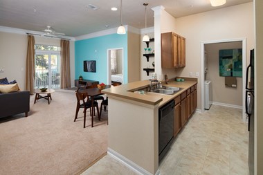 Washer and Dryer in Every Home Washer and Dryer in Every Home at Abberly at West Ashley Apartment Homes by HHHunt, Charleston, South Carolina