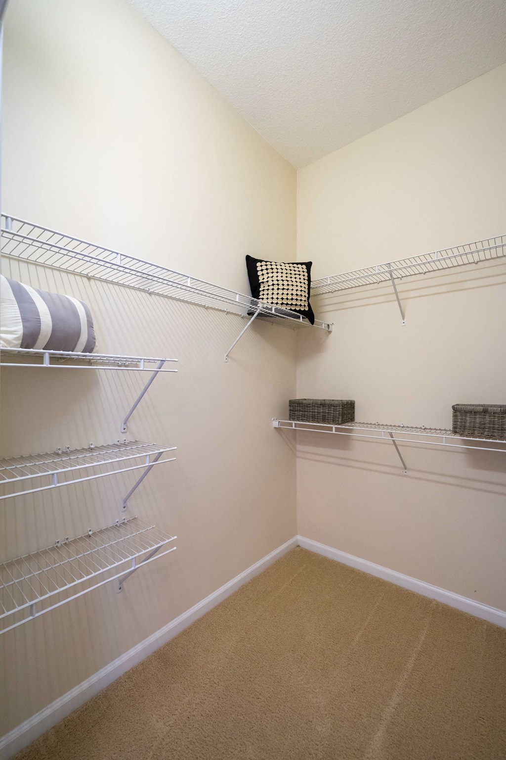 Walk In Closet with Organizers at Abberly Woods Apartment Homes, 28216