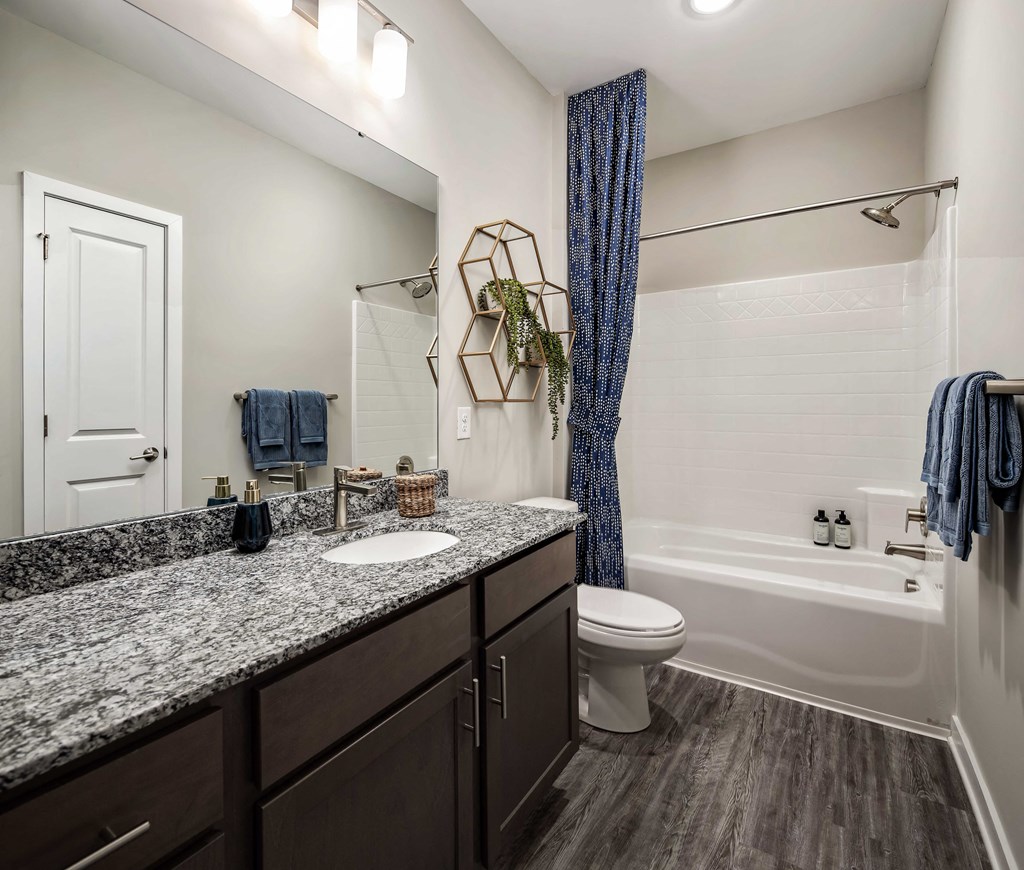 our apartments offer a bathroom with a bathtub
