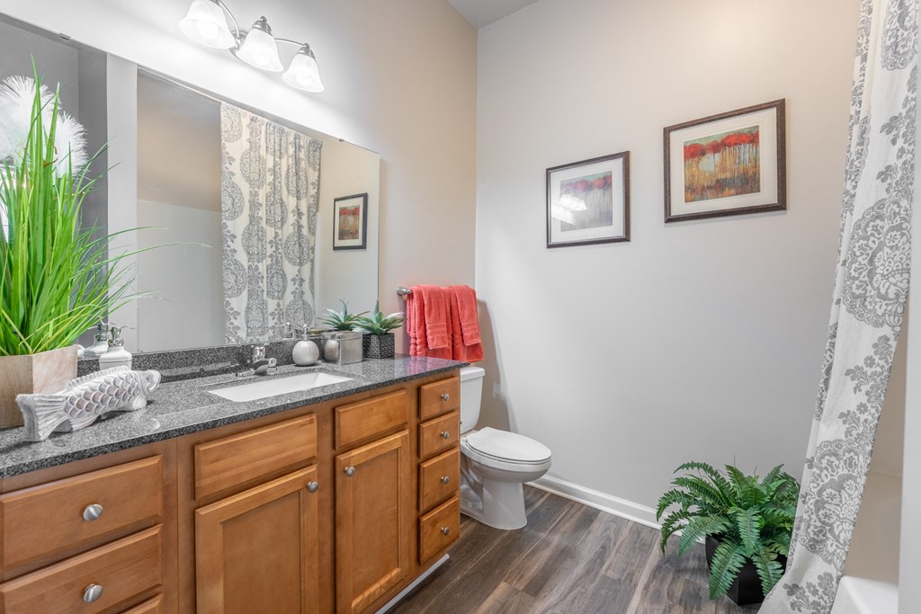 the enclave at homecoming terra vista bathroom at Abberly Crest Apartment Homes, Maryland, 20653