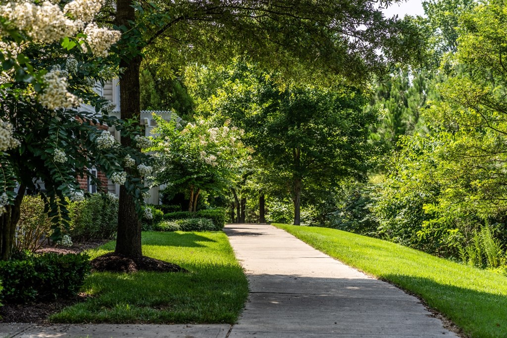 a sidewalk with trees on both sides at Abberly Crest Apartment Homes, Maryland
