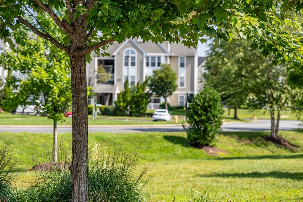 a tree in front of a house  at Abberly Crest Apartment Homes, Lexington Park, MD