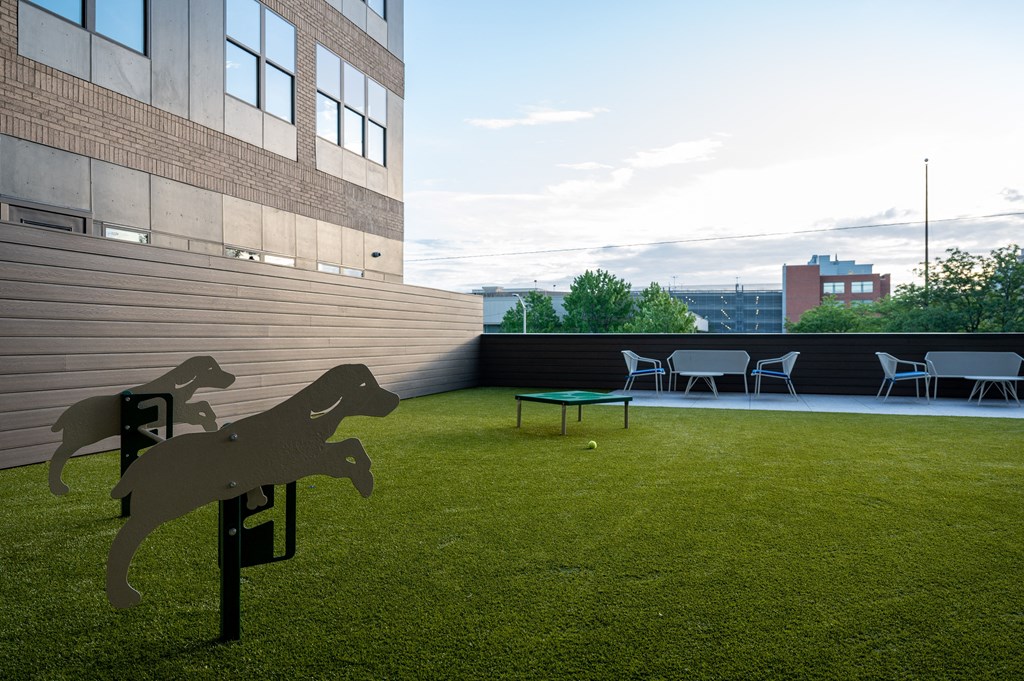 a dog park on the roof of a building