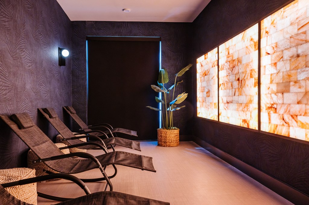 a row of chairs in a dark room with a plant in a vase