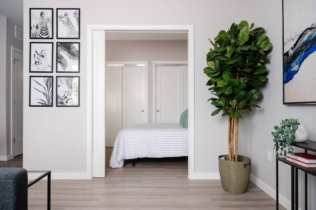 a bedroom with a bed and a potted plant in a room with a door