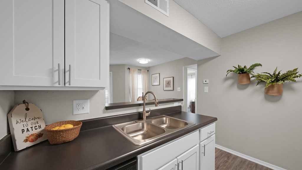 Sink With Faucet at The Local Apartments, Memphis, TN, 38115