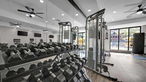 A gym with a row of dumbbells and weight machines.