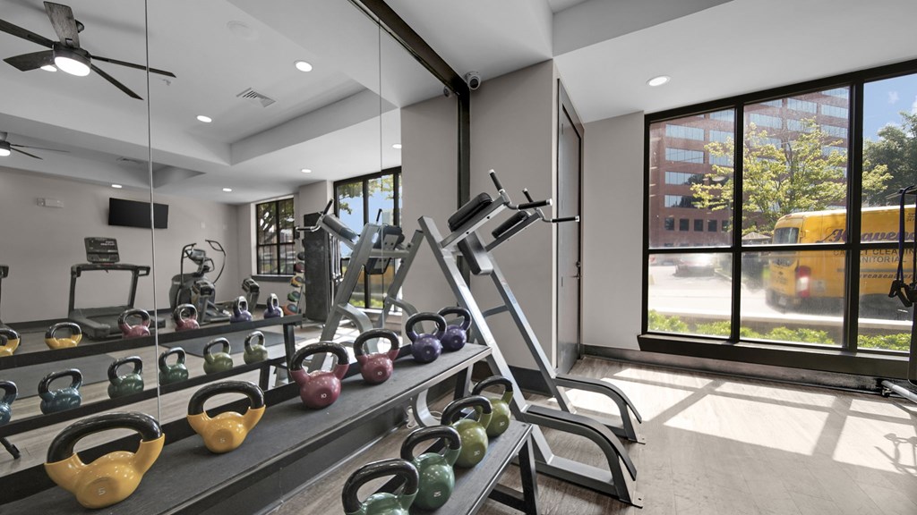 A gym with a row of kettlebells on a rack.