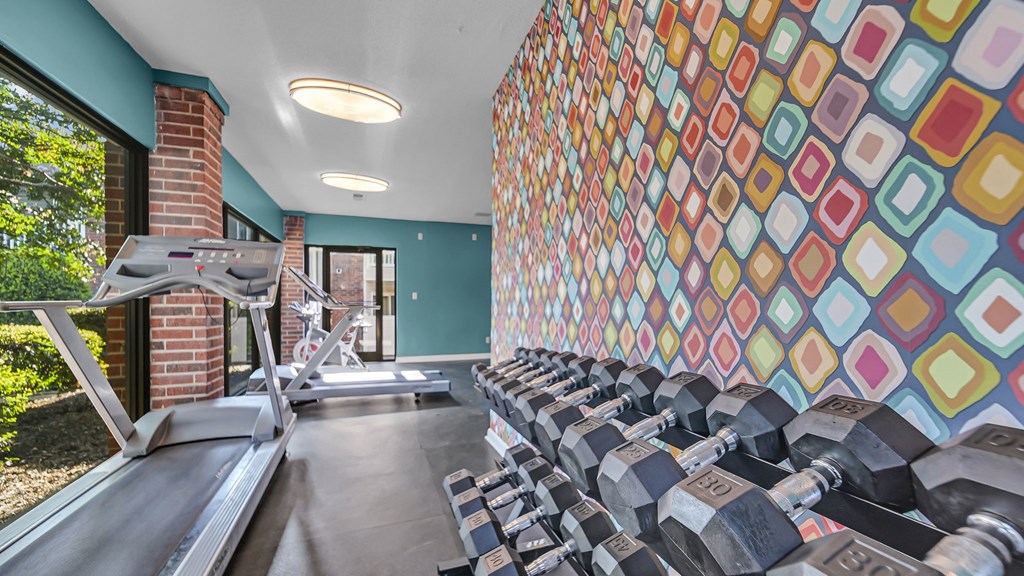 A gym with a row of dumbbells and a treadmill.