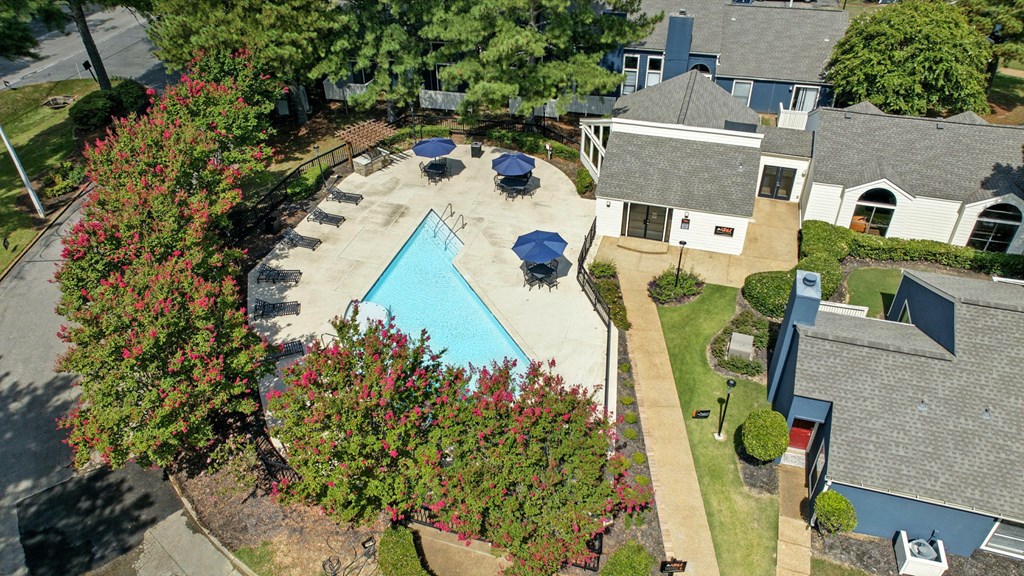 A house with a pool surrounded by trees.
